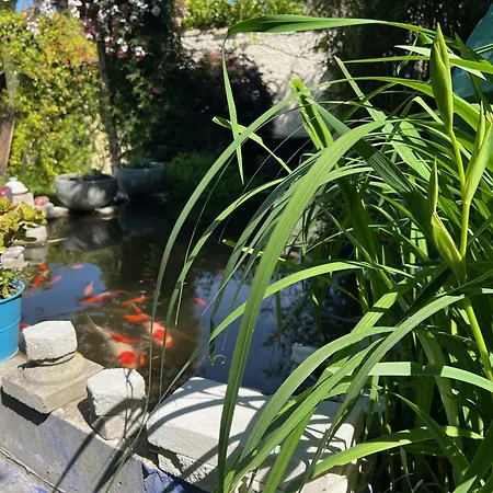Ubytování v soukromí Suite Detente Jardin Piscine *